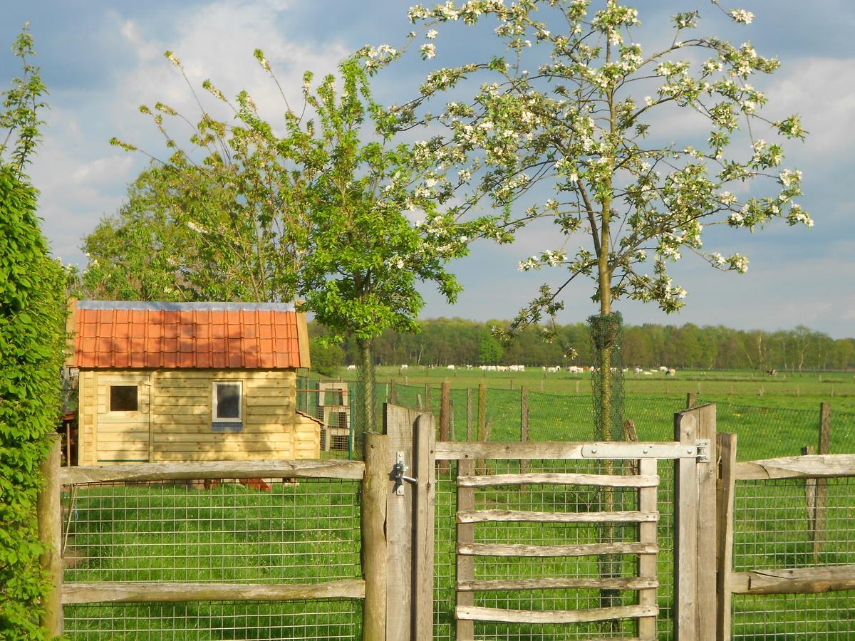 B&B Tuin der Zinnen Rijkevorsel Exterior foto